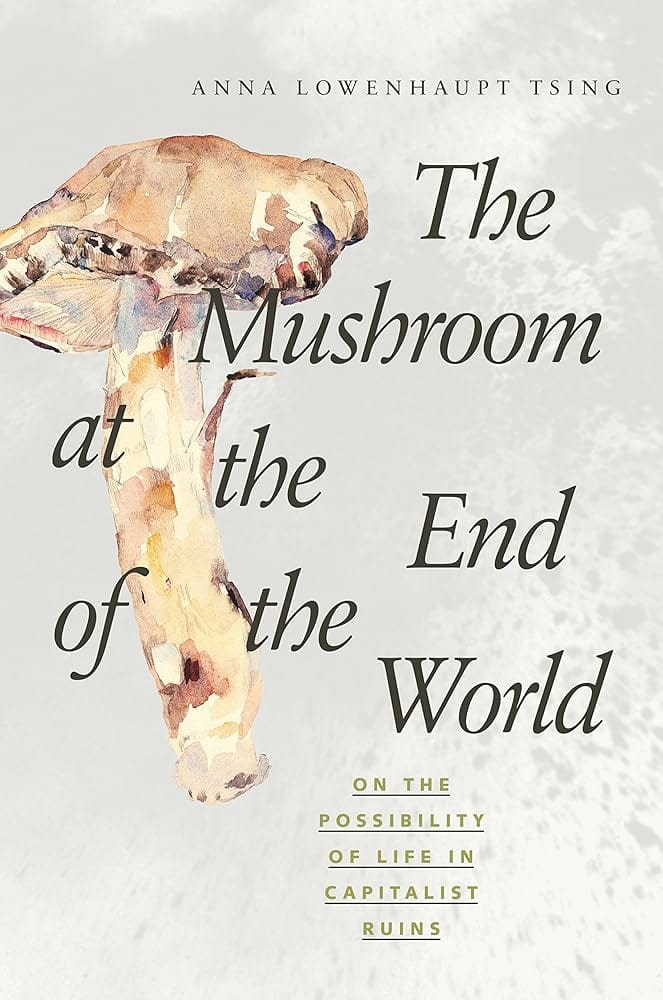 the mushroom at the end of the world